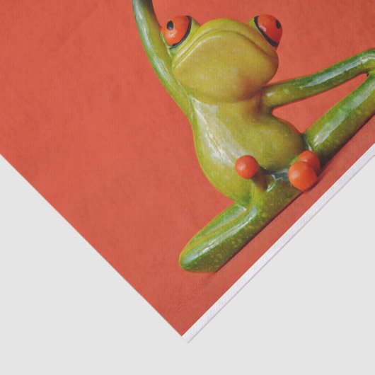 Papier Mousseline Cute grenouille Fanny (Détail)