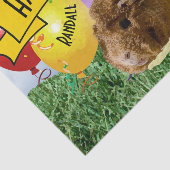 Papier Mousseline Cute Guinea Pig Photo Enfants Ballons d'anniversai (Détail)