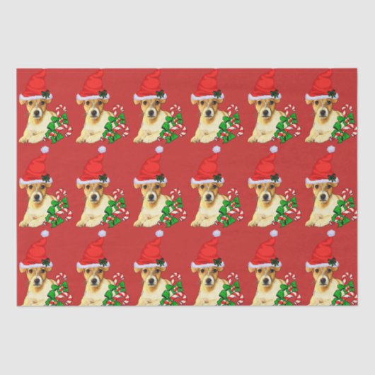 Papier Mousseline Cute Jack Russell Terrier Noël (Recto)