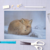 Papier Mousseline Cute Little Fox Curling Up Winter Photo (Artisanat)