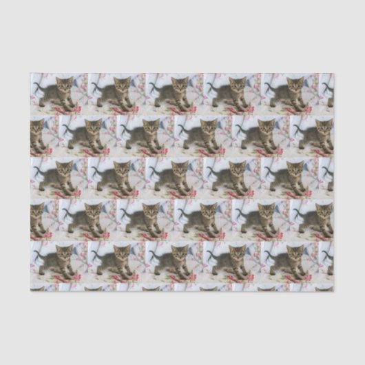 Papier Mousseline Cute Tabby Kitten À L'Air Surpris Motif (Recto)