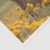 Papier Mousseline Cute Vache Laitière Jaune Fleur sauvage Découpage (Détail)