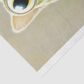 Papier Mousseline Cute Whimsy Kitten Habillé Comme Une Grenouille AL (Détail)