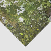 PAPIER MOUSSELINE CYCLISME (Détail)