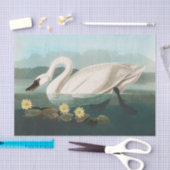 Papier Mousseline cygne audubon cygnes d'eau blanche (Artisanat)