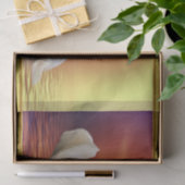 Papier Mousseline Cygne blanc dans un lac avec un coucher du soleil (Cadeau)