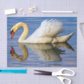 Papier Mousseline Cygne muet, olor de cygnus (Artisanat)