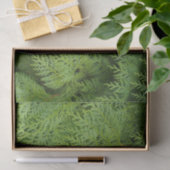 Papier Mousseline Cypress (Cadeau)