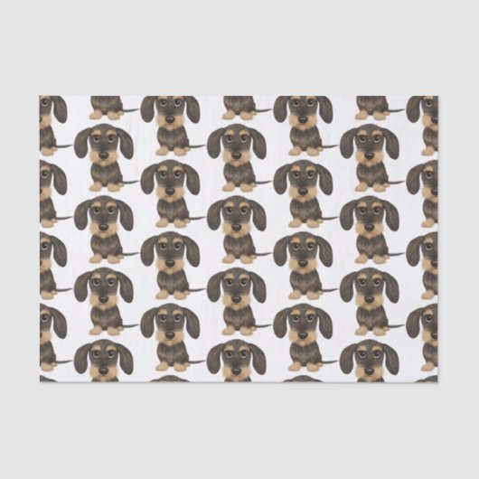 Papier Mousseline Dachshund À poils durs| Teckel Chien mignon (Recto)