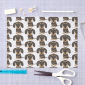 Papier Mousseline Dachshund À poils durs| Teckel Chien mignon (Artisanat)
