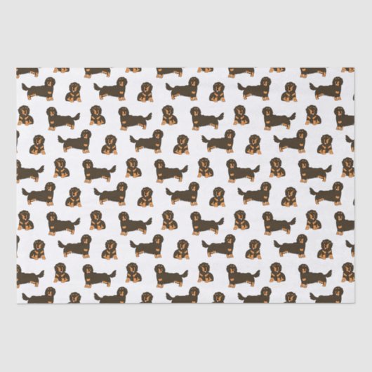 Papier Mousseline Dachshund aux cheveux longs (Recto)