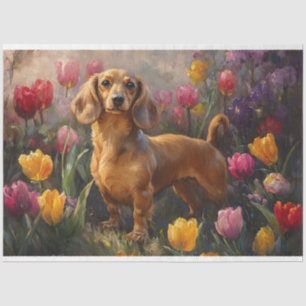 Papier Mousseline Dachshund avec les Tulipes de Printemps Peinture D