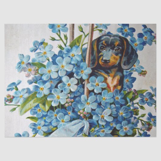 Papier Mousseline Dachshund et Forget-Me-Nots (Recto)