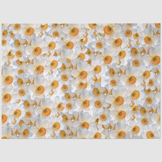 Papier Mousseline Daffodile frais (Recto)