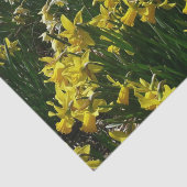 Papier Mousseline Daffodiles jaunes et blancs Fleurs de printemps (Détail)