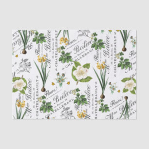Papier Mousseline Daffodique vintage français de printemps