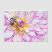 Papier Mousseline Dahlia Blanche Et Rose Avec Bumble Bee (Recto)