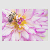 Papier Mousseline Dahlia Blanche Et Rose Avec Papier Tissu Bumble Be (Recto)