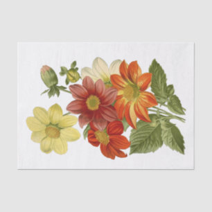 Papier Mousseline Dahlia Orange Blanc Jaune Rouge Fleur Floral