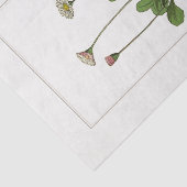 Papier Mousseline Daisy Botanical Illustration 1885 Tissue Paper (Détail)