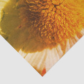 Papier Mousseline Daisy Fermer (Détail)