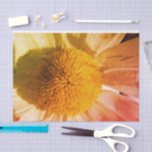 Papier Mousseline Daisy Fermer (Artisanat)