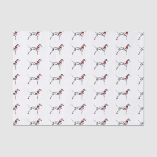 Papier Mousseline Dalmate (Recto)