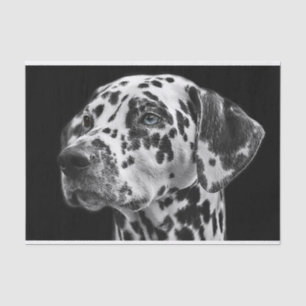 Papier Mousseline Dalmation Chien noir et blanc Découpage