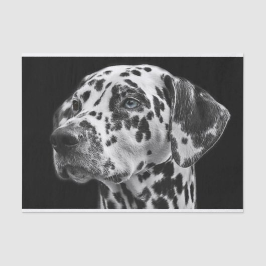 Papier Mousseline Dalmation Chien noir et blanc Découpage (Recto)