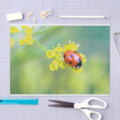 Papier Mousseline dame sur le dessus (Artisanat)