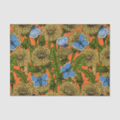 Papier Mousseline Dandelion medow (Recto)