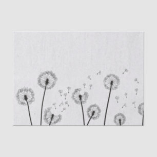 Papier Mousseline Dandelions Fleurs Pappus Spores Gris