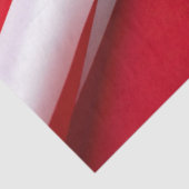 Papier Mousseline Dans le pli (Détail)