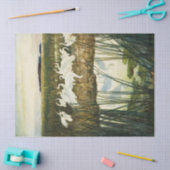 Papier Mousseline Danse des grues blanches par N. C. Wyeth (Artisanat)