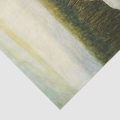 Papier Mousseline Danse des grues blanches par N. C. Wyeth (Détail)