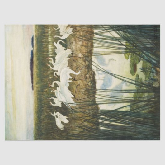 Papier Mousseline Danse des grues blanches par N. C. Wyeth (Recto)