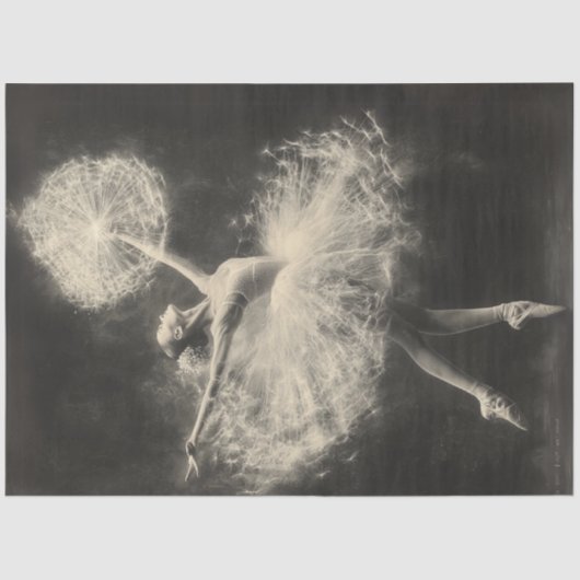 Papier Mousseline Danseuse de ballet de découpage Dandelion lumineux (Recto)