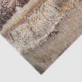 Papier Mousseline Date Palm Tree Trunk Texture Fermer Photo Image (Détail)