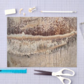 Papier Mousseline Date Palm Tree Trunk Texture Fermer Photo Image (Artisanat)