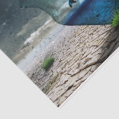 Papier Mousseline Dauphin Désert Déchoupage Papier Tissu (Détail)