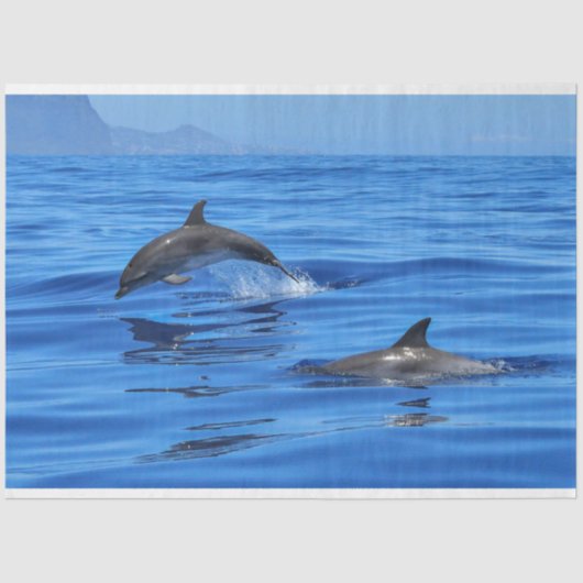 Papier Mousseline Dauphins Natation Océan Découpage Papier Tissu (Recto)