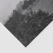 Papier Mousseline De beaux arbres et la nature dans le brouillard (Détail)