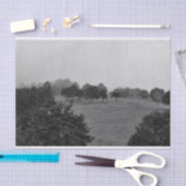 Papier Mousseline De beaux arbres et la nature dans le brouillard (Artisanat)