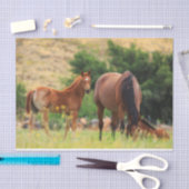 Papier Mousseline De beaux chevaux (Artisanat)