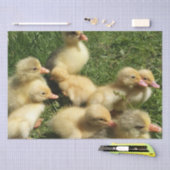 Papier Mousseline de jeunes animaux mignons de la ferme (Artisanat)