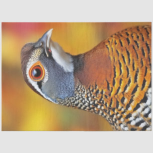 Papier Mousseline Déchoupage Oiseau de perdrix à ailes de châtaignes
