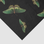 Papier Mousseline Décopage Vintage vert papillon (Détail)