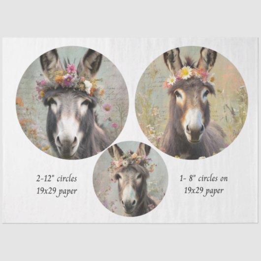 Papier Mousseline Decoupage 2-12" Circle & 8" Whimsical Donkey Trio (Recto)