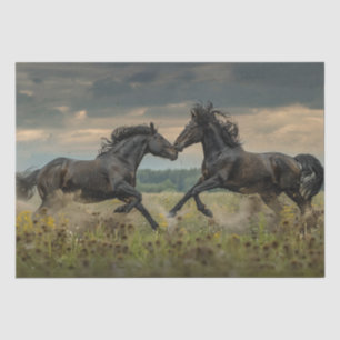 Papier Mousseline Découpage 2 Majestic Black Wild Stallions