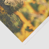 Papier Mousseline Découpage 3 Chevaux Courant Fleurs de soleil (Détail)